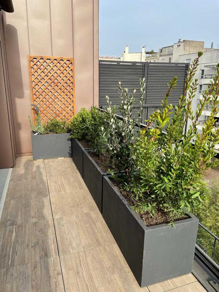 Aménagement avec bacs en argile fibré, support de plantes grimpantes, sur toit terrasse