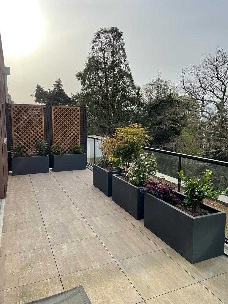 Aménagement avec bacs en argile fibré, support de plantes grimpantes, sur toit terrasse